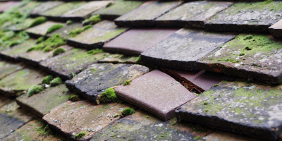 Oakengates roof repair costs